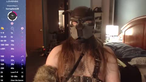 kinkywolf87 online show from 12-31-24, 11:17