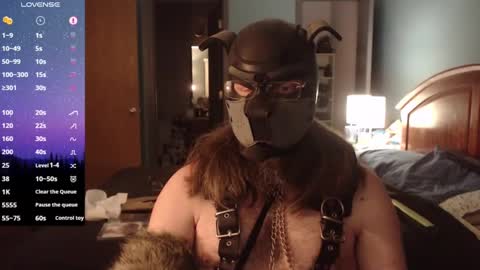 kinkywolf87 online show from 01-15-25, 01:02