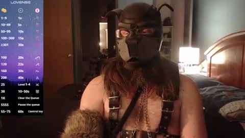 kinkywolf87 online show from 02-01-25, 01:44
