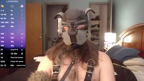 kinkywolf87 online show from 02-03-25, 06:39