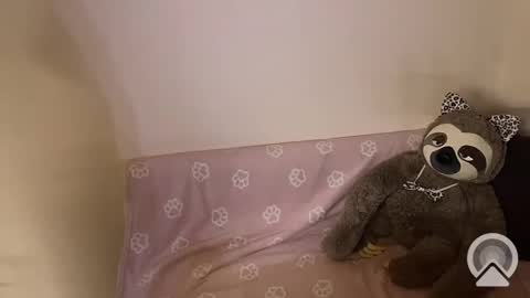 kitiket1 online show from 02-11-25, 05:40