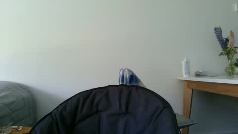 Steve Cocks online show from 12-11-24, 03:37