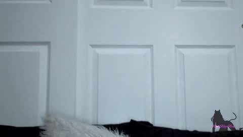 Kitti online show from 11-11-25, 07:52