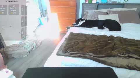 Snapshot of kittyymaze chatting on 01-14-25, 04:50 Kittyymaze online show from 01-14-25, 04:50