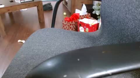 klok6187 online show from 12-23-24, 04:01