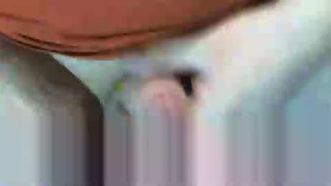 Snapshot of klok8230 chatting on 02-15-26, 08:27 klok8230 online show from 02-15-26, 08:27