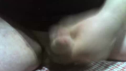 Snapshot of klok8230 chatting on 02-22-26, 08:51 klok8230 online show from 02-22-26, 08:51