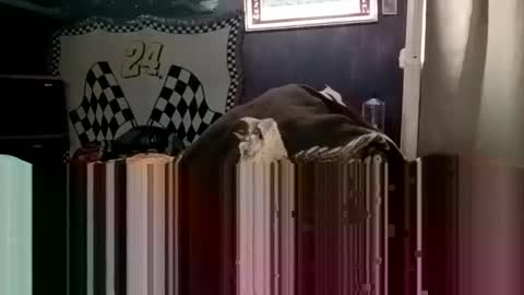 knock2wice1975 online show from 01-20-25, 04:32