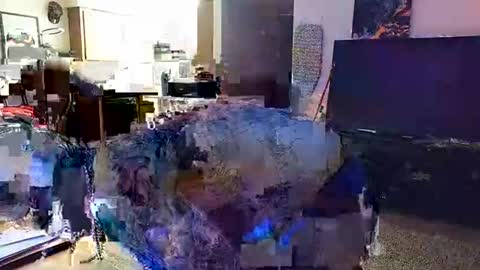 Knox Wilder online show from 11-30-25, 05:55