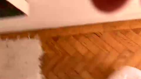 koboyzkock online show from 07-20-26, 10:07