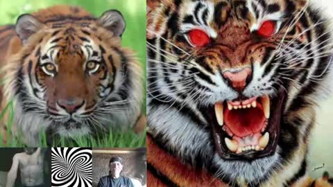 kodiakpm1 online show from 02-01-25, 07:15