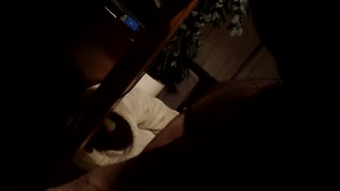 koekerdt online show from 01-31-25, 11:35