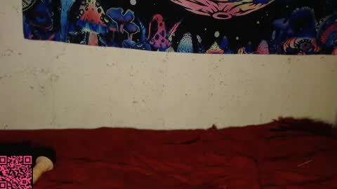 Snapshot of konekokawai chatting on 02-13-25, 11:15 konekokawai online show from 02-13-25, 11:15