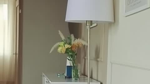 Kristi online show from 09-13-25, 05:18