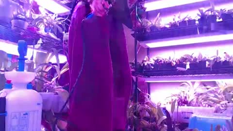 Snapshot of krookedorchid chatting on 10-30-25, 10:06 krookedorchid online show from 10-30-25, 10:06