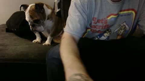 kurrupt86 online show from 12-08-24, 11:08