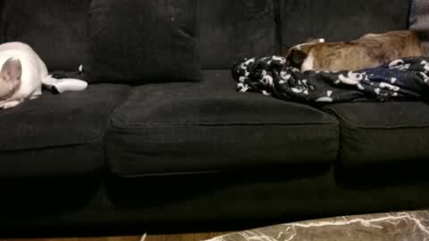 kurrupt86 online show from 12-22-24, 06:26