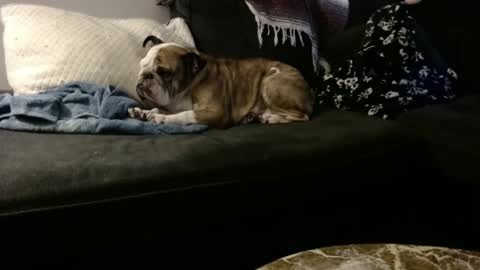 kurrupt86 online show from 02-05-25, 06:48