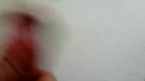 l0cean online show from 02-26-26, 03:16