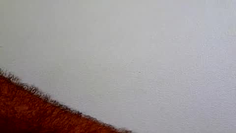 l0cean online show from 07-22-26, 02:47