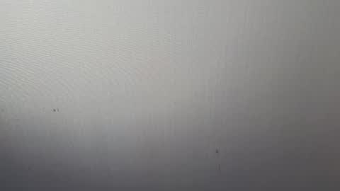 Adonis online show from 03-07-25, 04:02