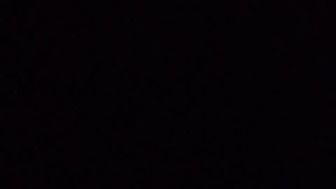 laceieizlaced online show from 04-04-26, 11:08