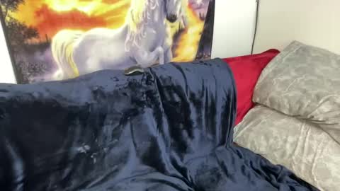 Lacy8Vankort online show from 02-08-25, 08:53