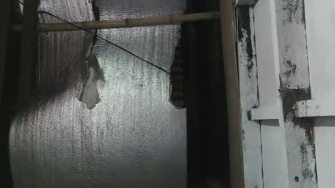 lady_love063 online show from 01-16-25, 10:12