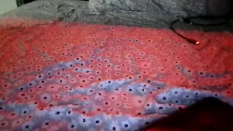 Stephanie online show from 12-15-25, 01:54