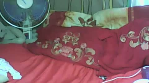 LadyXSnakes online show from 01-21-25, 08:19