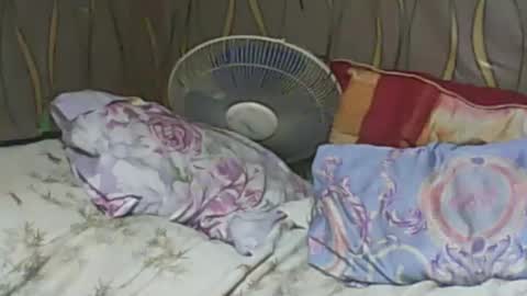 LadyXSnakes online show from 02-07-25, 06:24