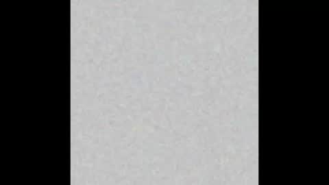  paola and a guest lol    online show from 11-12-25, 10:04