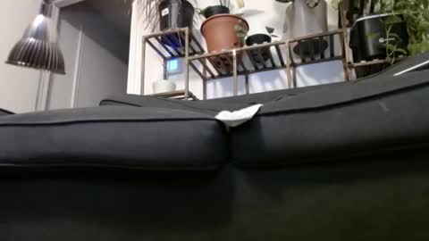 Snapshot of laidback_and_chill chatting on 12-23-24, 04:33 Rick online show from 12-23-24, 04:33