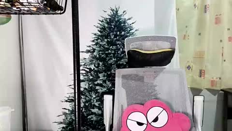 lailai6699 online show from 09-12-25, 05:02