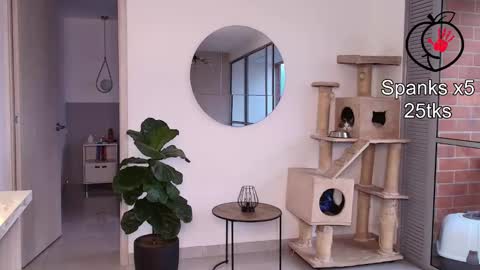 Laira online show from 02-11-26, 10:48