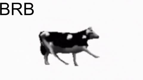 just call me Lana  and her security online show from 01-22-25, 02:24