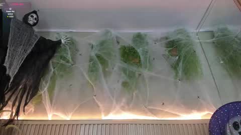 lana_lann online show from 10-30-25, 02:40