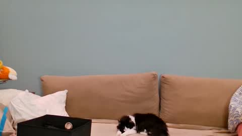 Lana online show from 05-24-26, 11:59