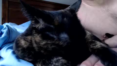 Lance online show from 12-16-25, 04:12