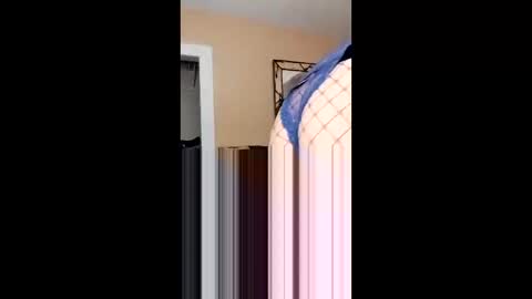 Snapshot of langederek2 chatting on 02-14-26, 03:03 langederek2 online show from 02-14-26, 03:03