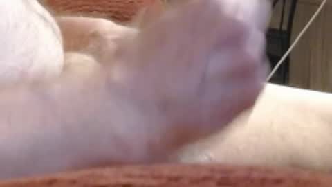 Snapshot of laststeven chatting on 12-17-24, 12:01 laststeven online show from 12-17-24, 12:01