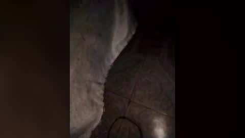 Snapshot of latatina25 chatting on 07-23-26, 11:08 latatina25 online show from 07-23-26, 11:08