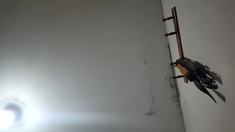 Snapshot of latigo1000 chatting on 12-20-25, 03:30 CHARLES ROBERT online show from 12-20-25, 03:30