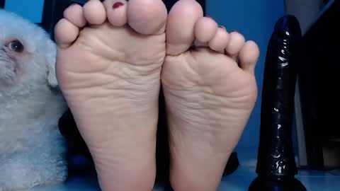 Martina  April online show from 01-29-25, 08:18