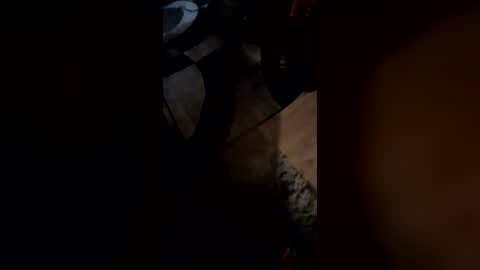 latinndickinu online show from 07-31-26, 10:36