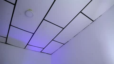 LAURA online show from 01-28-25, 01:08