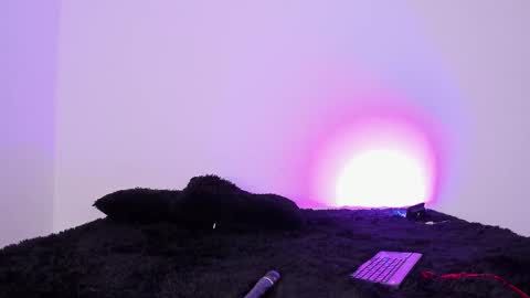 laurensmith9 online show from 09-26-25, 12:42