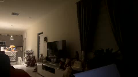 Snapshot of law_cambio chatting on 12-31-24, 11:31 law_cambio online show from 12-31-24, 11:31