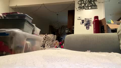 lawrencegreg106 online show from 09-25-25, 01:09