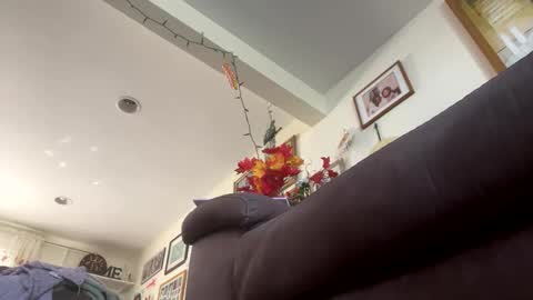 Snapshot of lawrencegreg106 chatting on 04-26-26, 07:33 lawrencegreg106 online show from 04-26-26, 07:33